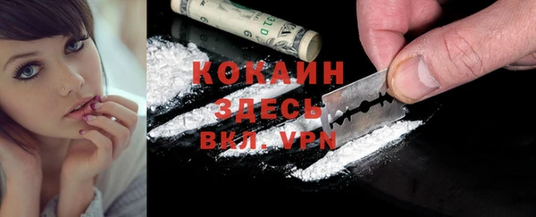 Альфа ПВП Белокуриха