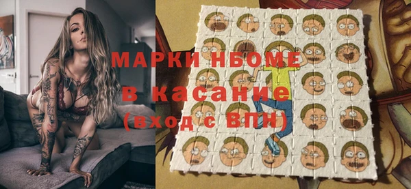 индика Богородицк