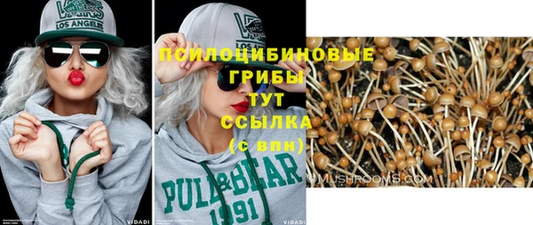 Альфа ПВП Белокуриха