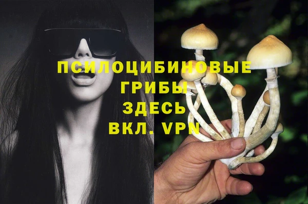 a pvp Гусев