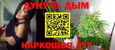 дурь Шелехов