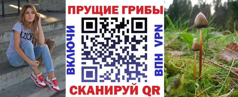 KRAKEN маркетплейс  Пятигорск  Галлюциногенные грибы мухоморы 