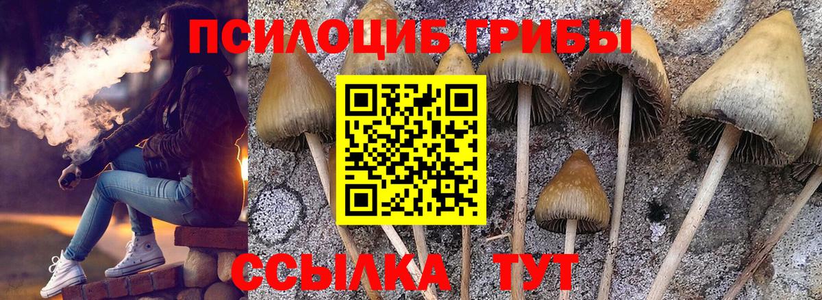 Псилоцибиновые грибы ЛСД Пятигорск